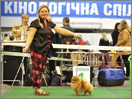 BOB Darikar Temtation.