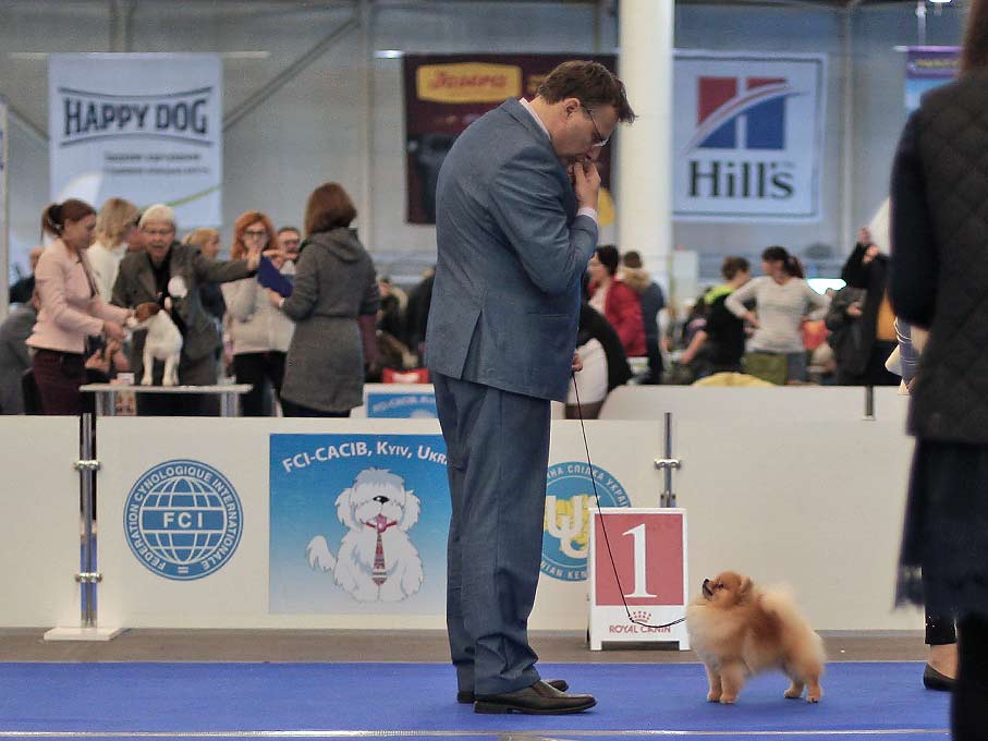 BOB Darikar Temtation.